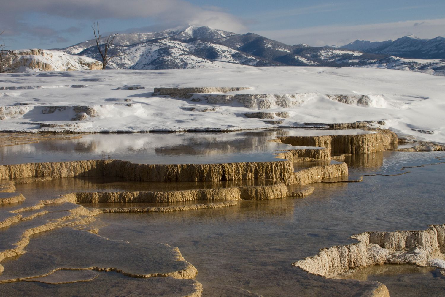 The white travertine terraces of Mammoth Hot Springs steaming in the cold.